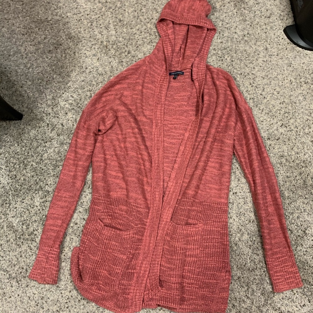 Mauve American Eagle Hooded Sweater